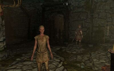 Aia the Shield Priestess Ch 1, a Skyrim Fanfic