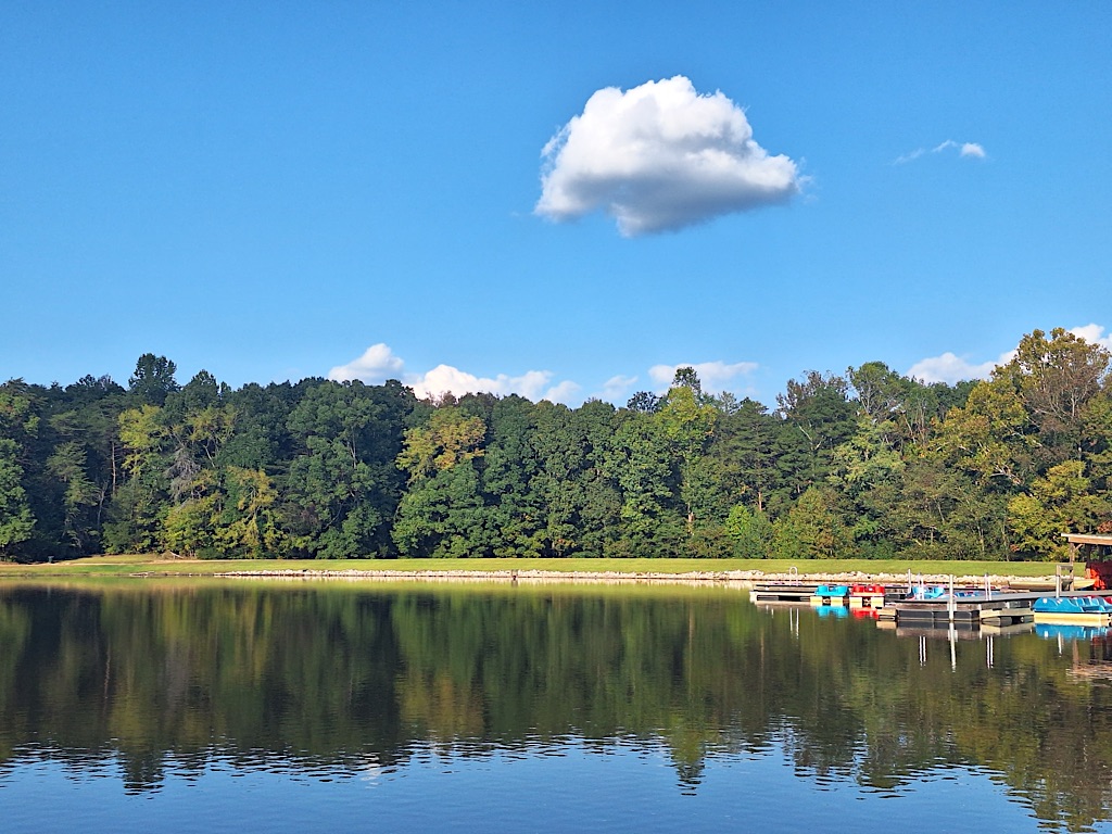 reflections #NaturePhotography #Nature #NatureHealing